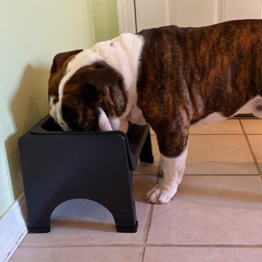 Fluff Trough XL Binge Blocker – Elevated Slow Feeder Dog Bowl with Silicone Slow Feeder Insert, Raised Dog Bowl & Food Container for Medium Large Dogs, Vet Recommended Elevated Dogs Dish (Black)