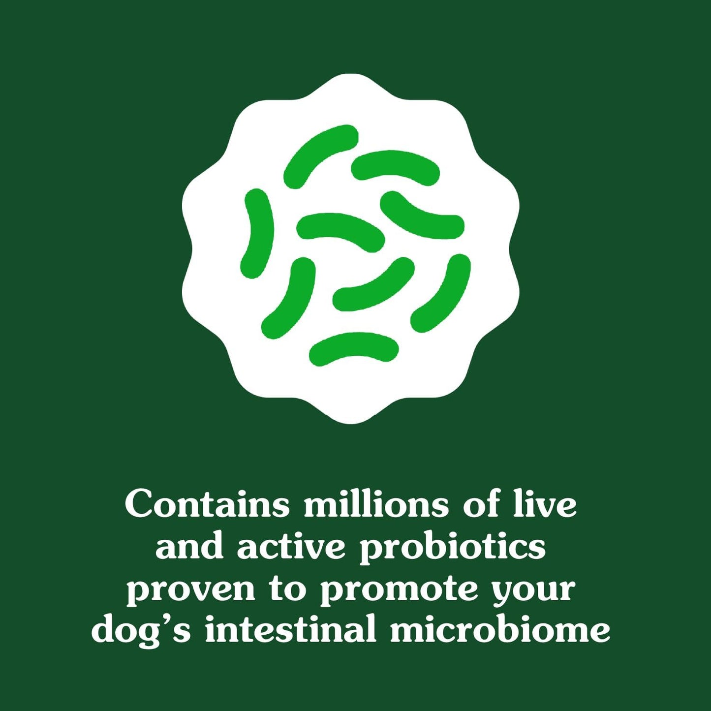 Greenies Supplements Digestive Health Probiotics for Dogs Chicken Flavor, 15.6 oz. Tub of 80 ct.