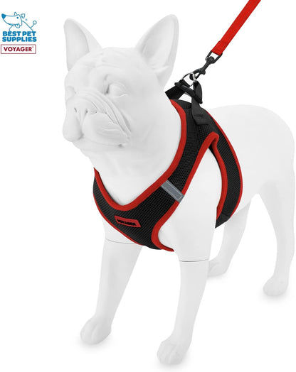 Voyager Step-in Air All Weather Mesh Harness and Reflective Dog 5 ft Leash Combo with Neoprene Handle, for Small, Medium and Large Breed Puppies by Best Pet Supplies - Red Trim, M (Pack of 2)