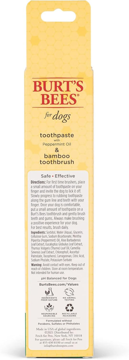 Burt's Bees for Pets Naturally Derived Oral Care Kit - Dog Dental Kit with Toothpaste & Bamboo Toothbrush - Dog Toothbrush and Toothpaste with Honeysuckle & Peppermint Oil, Fresh Mint Flavor (2.5 oz)
