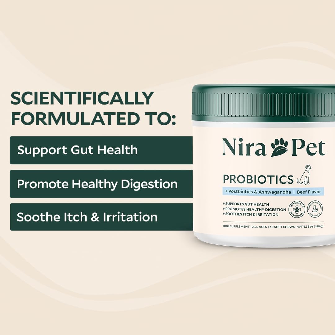 Probiotics for Dogs – 60 Beef-Flavored Chews with Postbiotics, Colostrum, Ashwagandha & Lactobacillus – Supports Gut Health, Immunity, Diarrhea, Gas & Stress