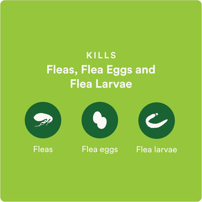 Advecta Plus Topical Large Cat Flea Treatment for Cats and Kittens, Flea Prevention and Control, Fast-Acting Waterproof Drops, 2-Month Supply