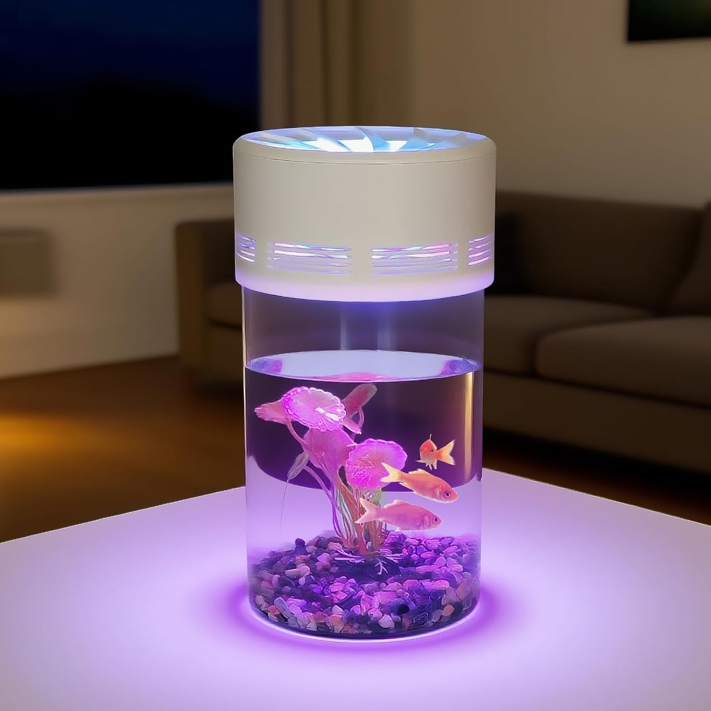 Ecological Fish Tank with LED Attraction Light - Aquarium Starter Kit Includes Decorative Aquatic Plants & Sand - Desktop Small Plastic Transparent Fish Bowl Suitable for Living Room, Bedroom, Office