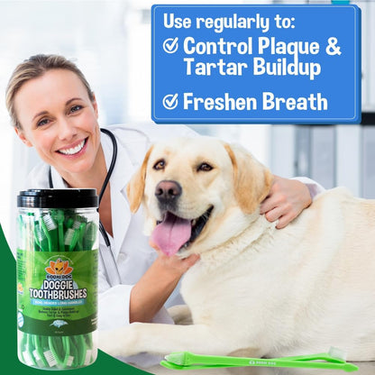 Bodhi Dog Dual-Headed Toothbrush for Dogs & Cats - Soft Bristles for Gentle Pet Dental Care - Puppy & Adult Teeth Cleaning - Easy-to-Use Design for Healthy Gums & Fresh Breath (50 Count)