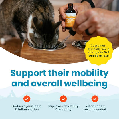 Liquid Glucosamine Chondroitin MSM for Cats, Hip & Joint Support Supplement, Helps Maintain Mobility and Flexibility, Senior Cat Glucosamine Drops for Daily Joint Care, 2oz