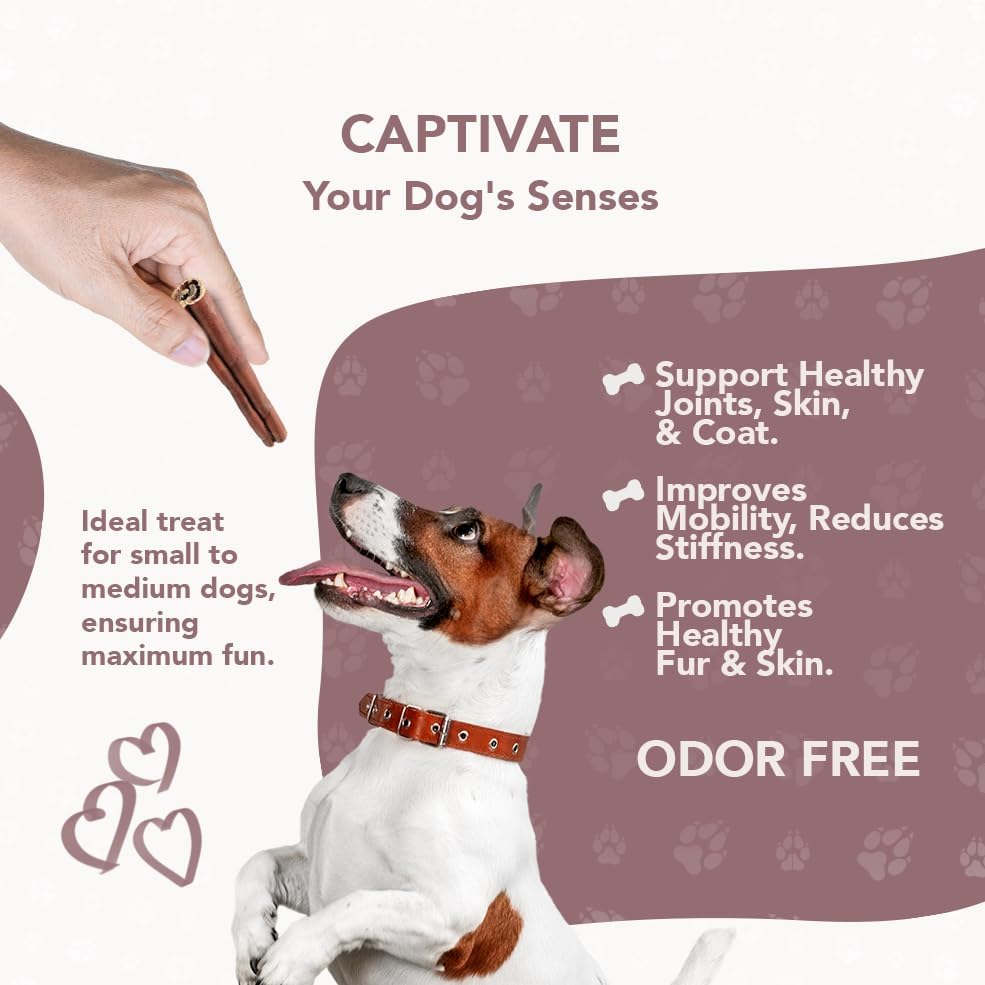 8 Pieces of Premium Collagen Sticks for Dogs, All Natural Dog Collagen Sticks, Great Tasting to Support Healthy Skin & Shiny Coats, Highly Digestible, Beef Chews for Dogs (4pack, 8pcs)