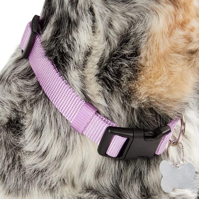 YOULY Adjustable Dog Collar Lavender Large