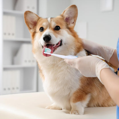 TEHAUX Electric Doggie Toothbrush with Soft Bristles, Puppy Toothpaste Brush for Small Dogs - Pet Puppy Portable Design Electric Brush with Replacement Head Travel Use - Batteries Not Included