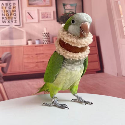 Pet Parrot Anti-Bite Elizabethan Collar, Neck Shield Anti-Grab Feather Plucking Wound Healing Safety Recovery Collar Cones for Budgerigar Lovebird Random Color (S)