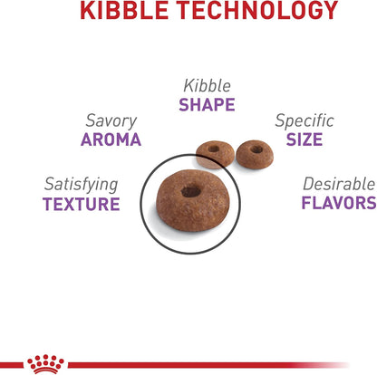 Royal Canin Feline Care Nutrition Appetite Control Care Adult Dry Cat Food, 14 lb Bag