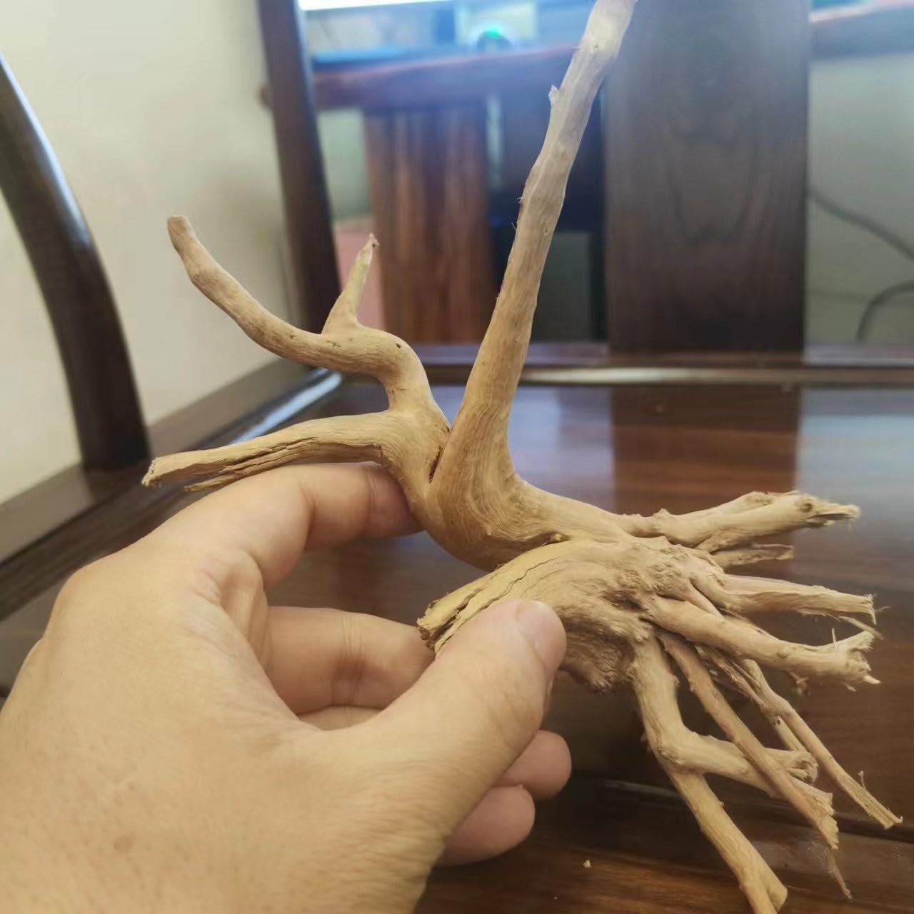 10pcs Natural Small Spiderwood Driftwood for Aquarium Decor Aquarium Driftwood Freshwater Reptile Driftwood Aquarium spiderwood (spiderwood 5-6inch 10pcs)