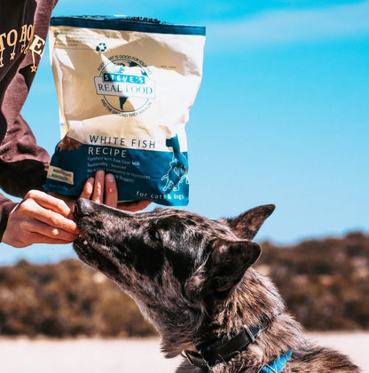 Steve's Real Food Freeze-Dried Raw Nuggets - White Fish Recipe - Raw Pet Food for Dogs and Cats - 20 oz