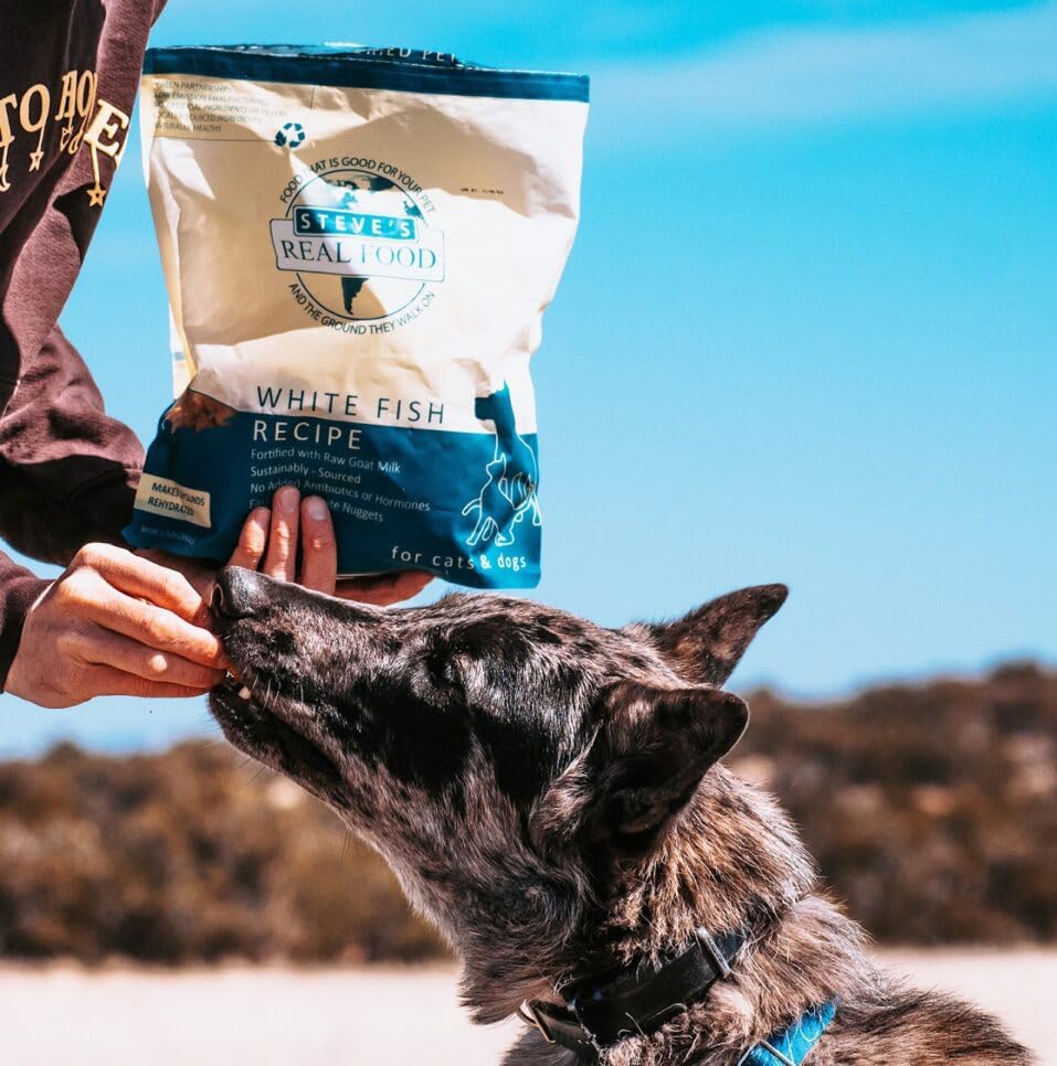 Steve's Real Food Freeze-Dried Raw Nuggets - White Fish Recipe - Raw Pet Food for Dogs and Cats - 20 oz