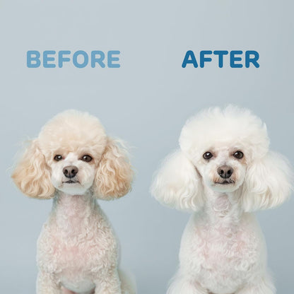 iPettie Furtasy Pet Shampoo, 3-in-1 Formula with Aloe, Herbal Extracts, Soothing, Deodorizing, Softening, Alcohol-Free, Sunshine Scent, 500ml, 16 Packs