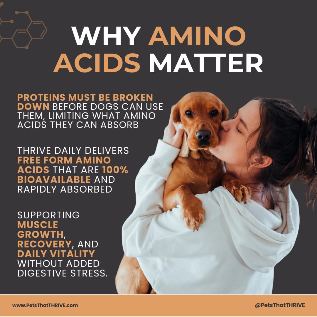 Thrive Daily Amino Acids for Dogs – Muscle Health, Recovery, Energy & Longevity – Supports Joints, Skin & Coat – Peanut Butter Soft Chews, 30 Count (4.8oz)