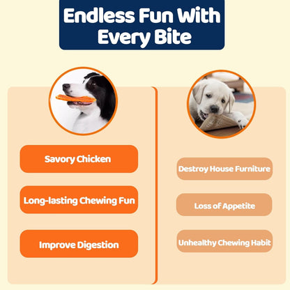 Dog Treats - Chicken Jerky Strips for Dogs with Real Chicken - 5 Inch Natural Dog Chews, High Protein & Low Fat Treats for Small to Large Dogs - 10.6 oz