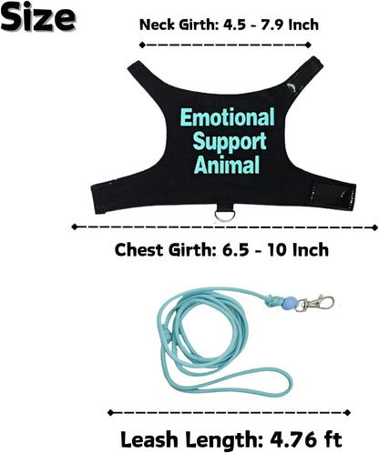 Bearded Dragon Harness and Leash Set - Adjustable Lizard Traction Rope Outdoor Walking Training Leash Reptile Emotional Support Animal Costume Accessories for Bearded Dragon Lizard Small Pets (Blue)