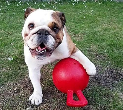 Jolly Pets Dog 6-Inch Tug-n-Toss, Red (406 RD),6 Inches/Medium