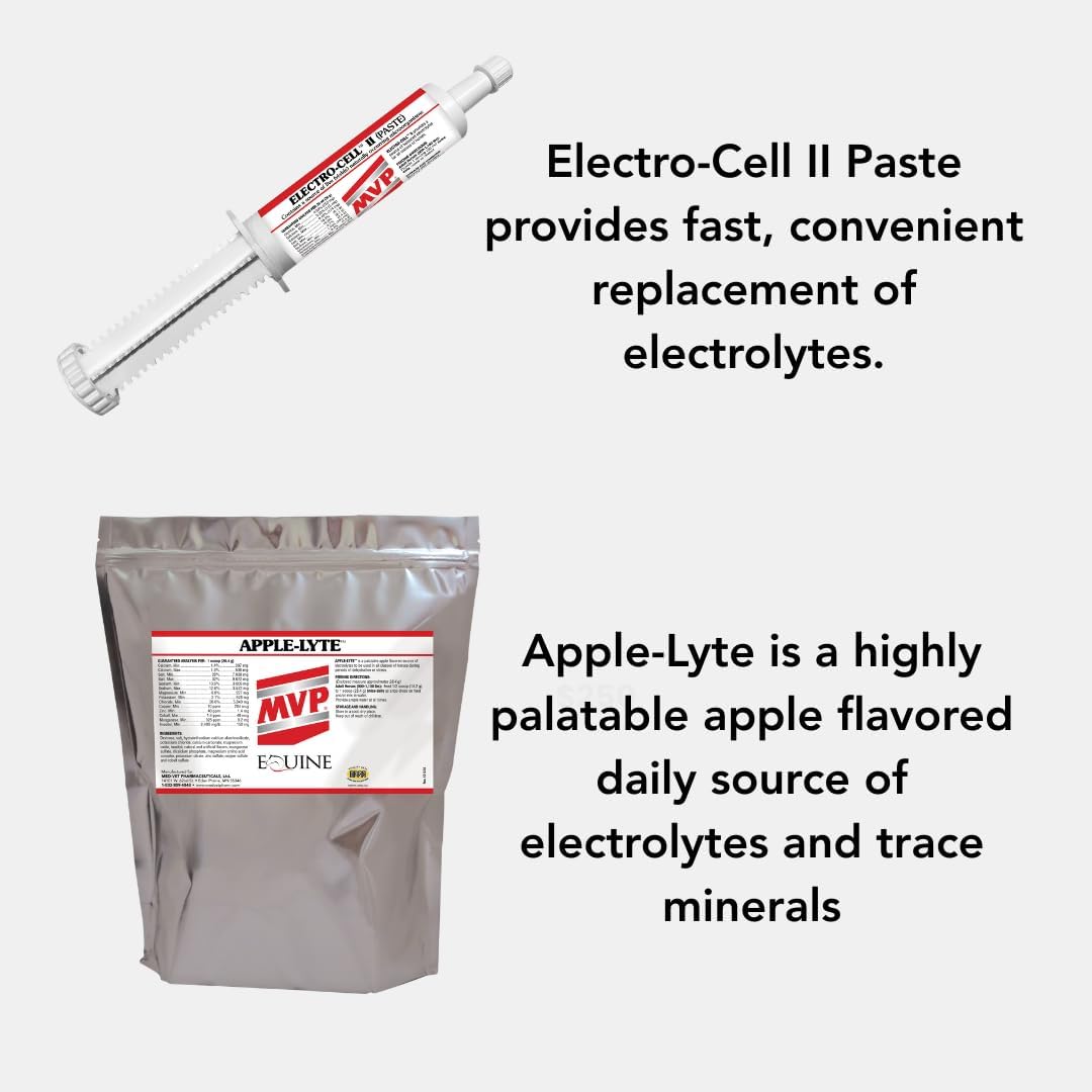 MVP Electro-Cell II Electrolyte Paste (2 dose tube) with probiotics for Horses