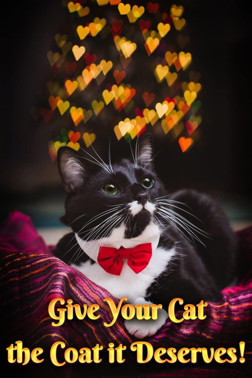 Fluffy Feline Professional Groomer's Choice for Cat Dandruff Treatment Spray