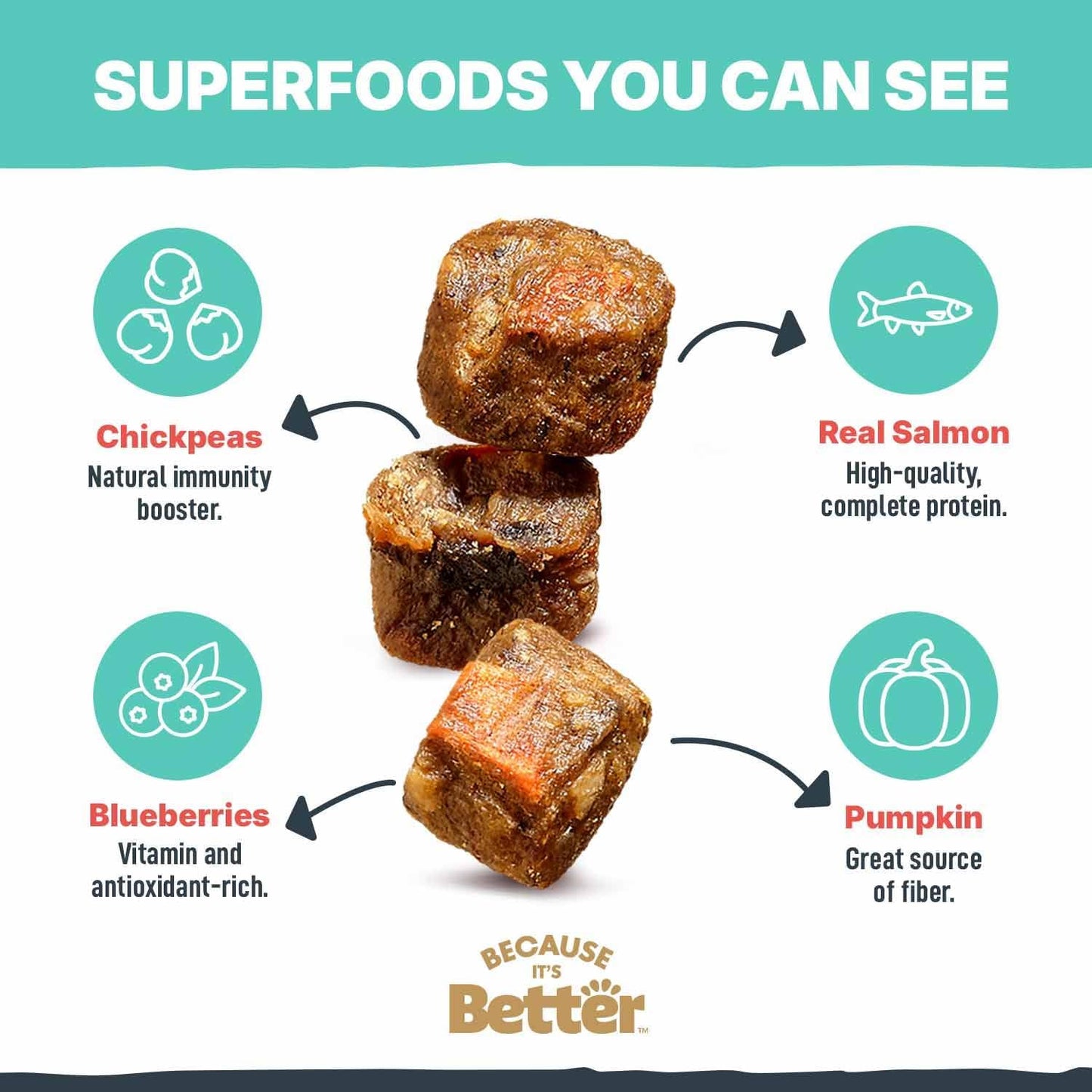 Because It's Better Slow Baked and Air Dried Dog Food, Real Salmon and Veggies, 3lb Bag, Complete and Balanced Dry Dog Food, for All Life Stages