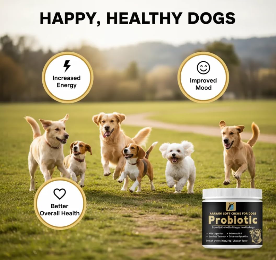 Aarkani Probiotic Supplement for Dogs – Promotes Digestive Health, Soothes Stomach, and Boosts Immunity – Chicken Flavor – Vet-Formulated– 90 Soft Chews