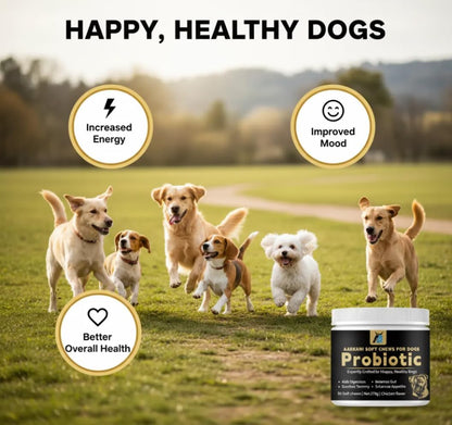 Aarkani Probiotic Supplement for Dogs – Promotes Digestive Health, Soothes Stomach, and Boosts Immunity – Chicken Flavor – Vet-Formulated– 90 Soft Chews