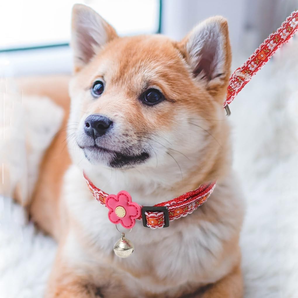 XXS Dog Collar with Bell Leash Set, Basic Floral Puppy Collars for Girls Xs Small Cat Pet Animal Litter Tiny Kitten, Orange White