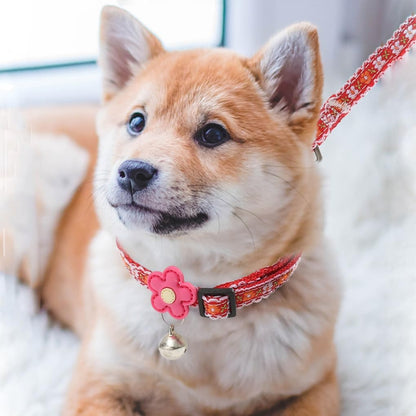 XXS Dog Collar with Bell Leash Set, Basic Floral Puppy Collars for Girls Xs Small Cat Pet Animal Litter Tiny Kitten, Orange White
