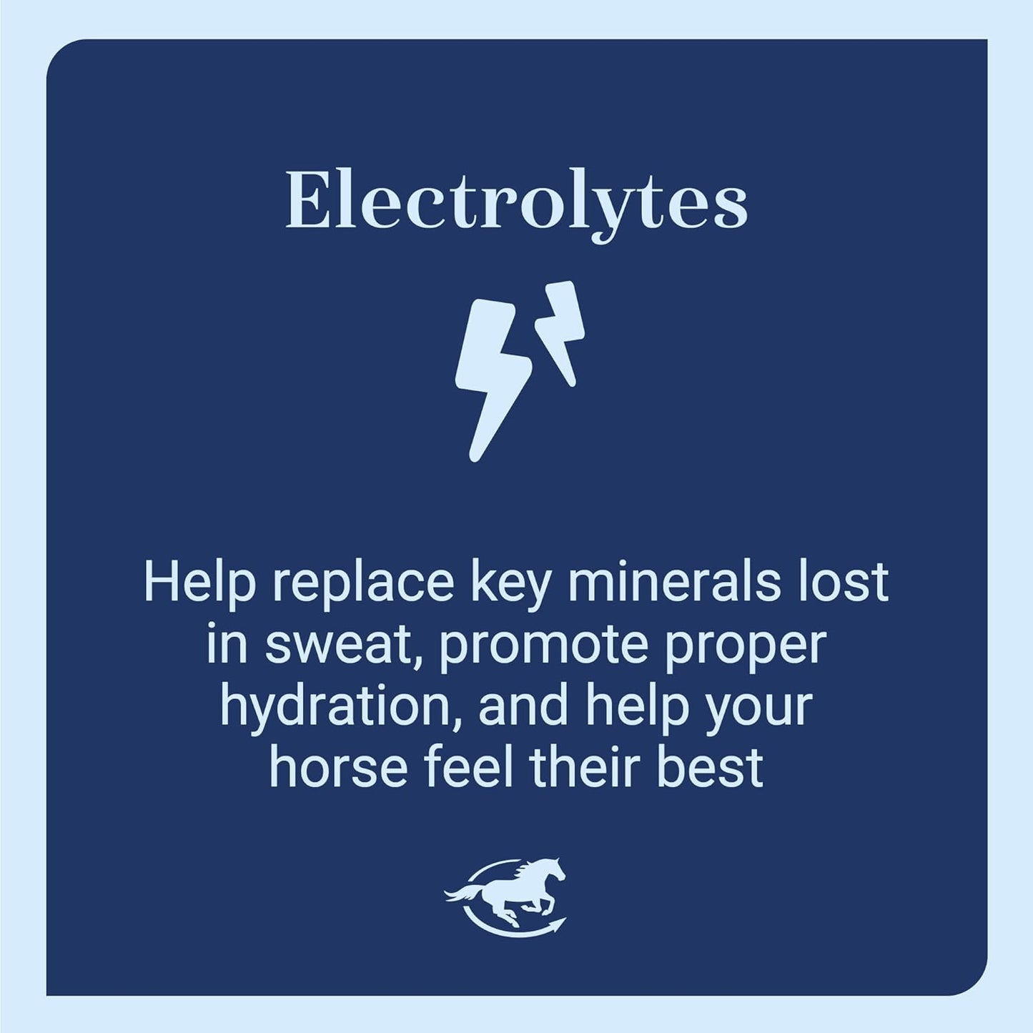 SmartEquine SmartLytes Horse Electrolyte Powder Supplement & SmartLytes Paste Horse Electrolyte Paste 6 Tubes Bundle, Encourages Hydration, Replenishes Electrolytes, No Added Sugar