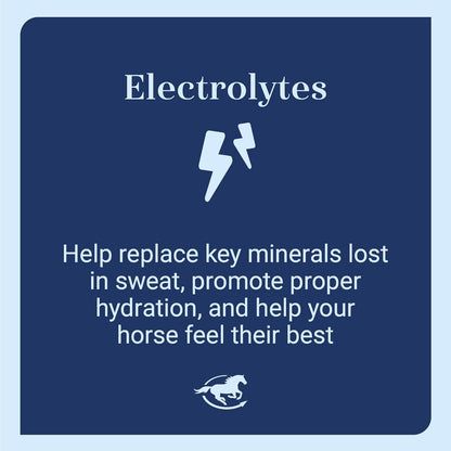 SmartEquine SmartLytes Horse Electrolyte Powder Supplement & SmartLytes Paste Horse Electrolyte Paste 6 Tubes Bundle, Encourages Hydration, Replenishes Electrolytes, No Added Sugar