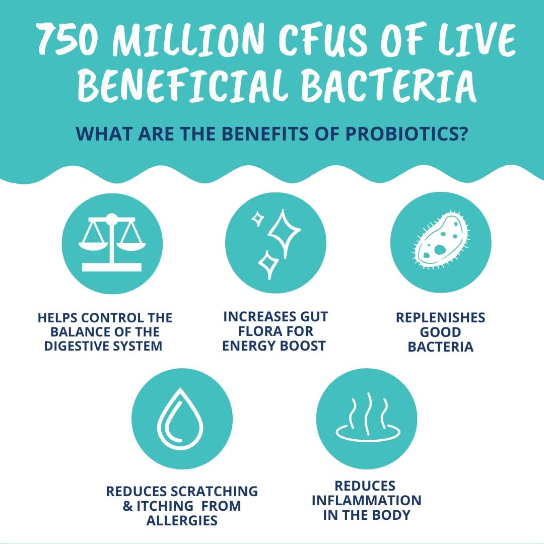 Under The Weather Pet Probiotic Powder for Dogs | Vet Formulated Dog Probiotics Supplement Filled with Good Bacteria | Promotes Healthy Digestion, Appetite, and Strong Immune System| 120 Servings