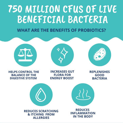 Under The Weather Pet Probiotic Powder for Dogs | Vet Formulated Dog Probiotics Supplement Filled with Good Bacteria | Promotes Healthy Digestion, Appetite, and Strong Immune System| 120 Servings