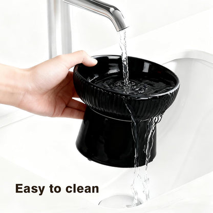 Elevated Cat Food Bowl, Ceramic Raised and Tilted Water Bowl, Whisker Fatigue Cat Bowls for Indoor Cats, Anti Vomiting and Protect Spines Pet Feeding Dishes for Kittens Small Dog, Heavy Non-Slip Base