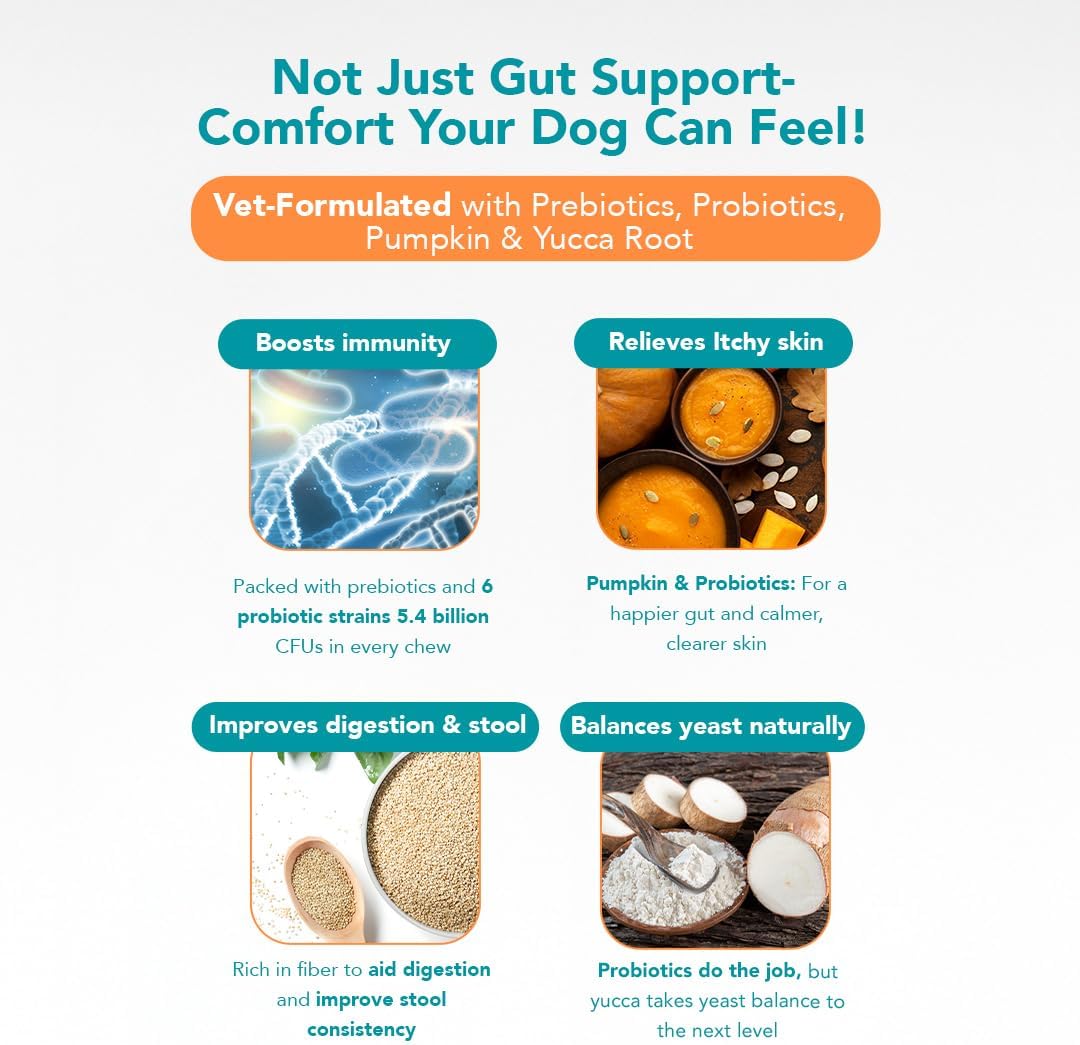 Ol'Nelly Pre & Probiotics for Dogs- 30 Soft Chews (Bacon) - Daily Dog Probiotics for Digestive & Gut Health - Diarrhea, Gas & Constipation Relief -All Ages and Breeds - Probioticos Perros Chewable