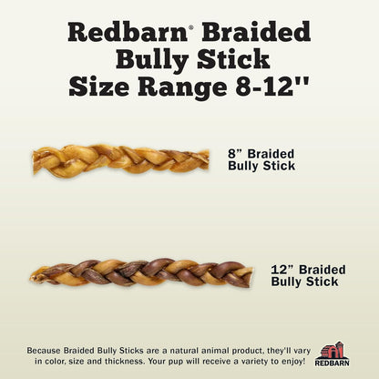 Redbarn Pet Products All Natural 8"-12" Braided Bully Sticks for Medium & Large Dogs - Healthy Long Lasting Beef Chews Variety Party Pack - Single Ingredient Low Odor Rawhide Free - 1 lb Bag