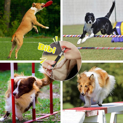 Dog Whistle to Stop Barking,Adjustable Pitch Ultrasonic Training Whistle Silent Bark Control for Dogs-2 Pack Dog Whistle with Free Lanyard Strap