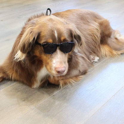G006 Dog Medium Breeds 20-40 lbs Pet Cat 80s Costume Prop Sunglasses (Black)