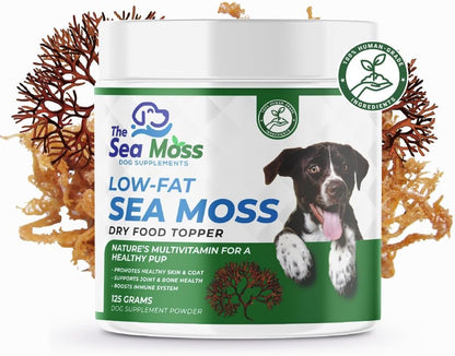 The Sea Moss Low-Fat Dog Supplement Powder, Dry Food Topper - Multivitamin Supports Skin, Coat, Joints, Digestion & Immune Health - Vitamins & Minerals – All Breeds & Sizes - 125 Grams