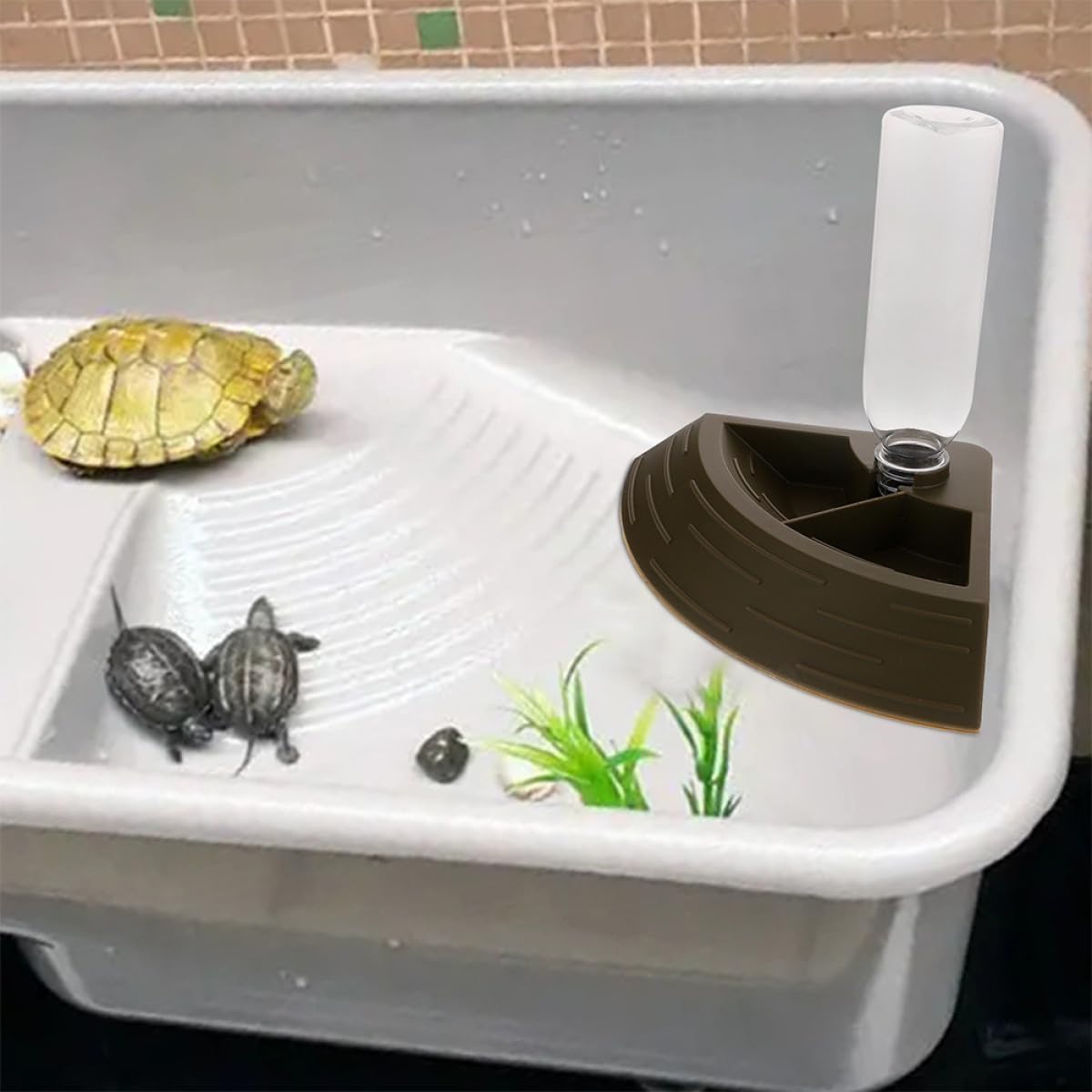 Reptile Feeding Bowl and Water Dish 2-in-1 Automatic Dispenser Small Titanium Food Dish for Turtle Frog Lizard Chameleon Terrarium Pet