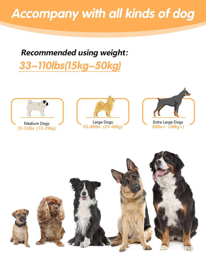 Hands Free Dog Leash, Multifunctional Crossbody Heavy Duty Dog Leash, 9.5 ft Long Waist Belt with Car Safety Buckle for Medium and Large Dogs Walking,Jogging,Running,Training (Grey 5.9-9.5ft).