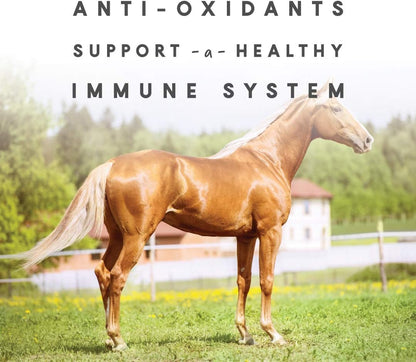 Manna Pro Sho-Glo Supplement for Horses | Complete Vitamin & Mineral Supplement for Healthy Skin & Coat | 5 Pounds