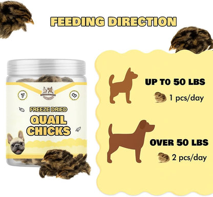 Benji & Louie Freeze Dried Quail Chicks – Whole Prey Treats with Bone, Feather, Feet, Peak – Single Ingredient Snack for Dogs & Cats – (0.88 oz) - 12 Chicks