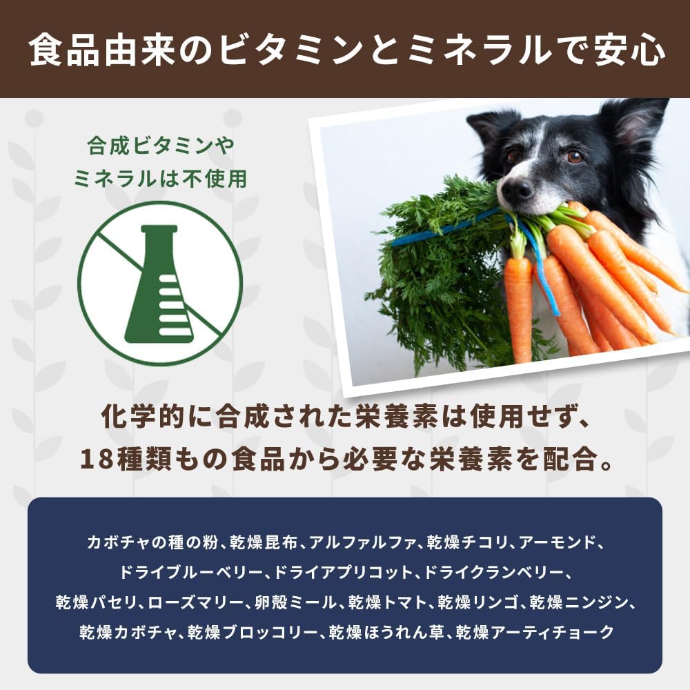 Nature's Logic Grain-Free Dry Dog Food - All-Natural, High Protein, No Synthetic Vitamins/Minerals - Gluten Free - Supports Healthy Digestion - All Breeds & Ages - Chicken Meal Feast, 4.4lbs