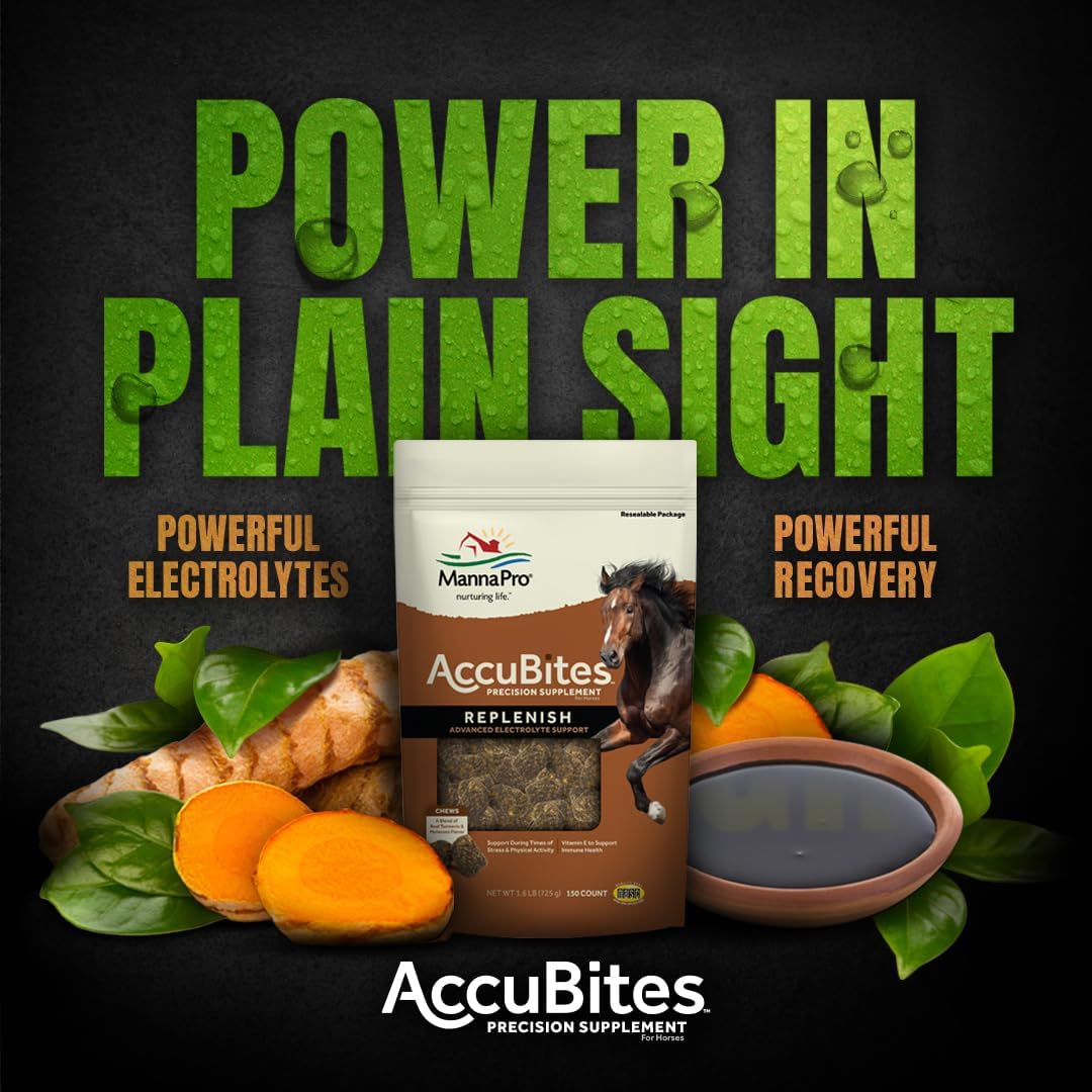 Manna Pro AccuBites Replenish Equine Supplement – Hydration & Immune Support Supplement for Horses – Contains Vitamin E & Turmeric – Turmeric & Molasses Flavored – 1.6 lbs