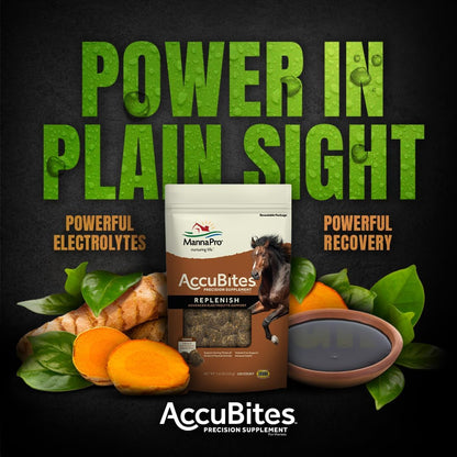 Manna Pro AccuBites Replenish Equine Supplement – Hydration & Immune Support Supplement for Horses – Contains Vitamin E & Turmeric – Turmeric & Molasses Flavored – 1.6 lbs