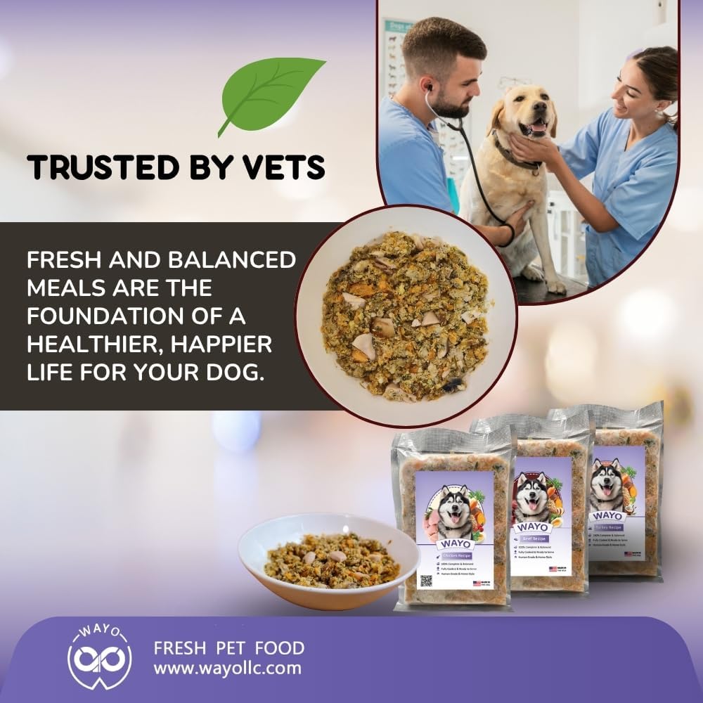 WaYo Fresh Dog Food, Fresh Human-Grade Meals for Dogs | Grass-Fed Premium Meat | All Life Stages | High-Protein, Ready-to-Serve | No Fillers or Art. Additives (11 Pack - 12oz) (Turkey)
