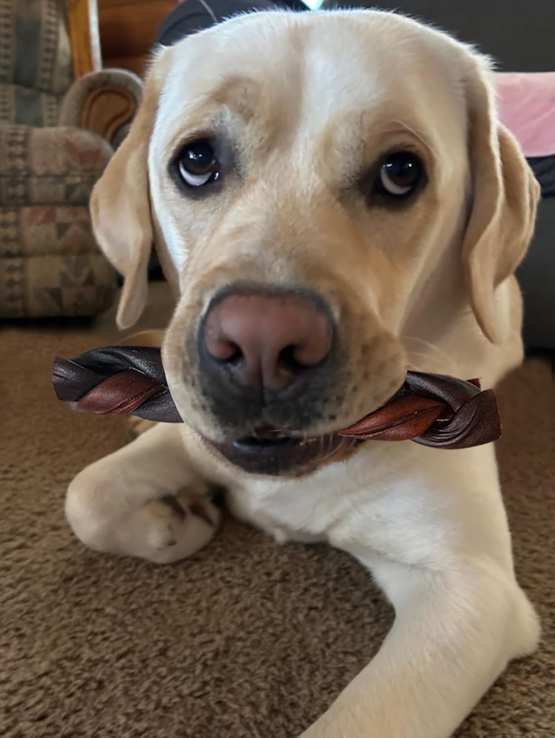 Jumbo Braided Collagen Sticks for Large Dogs, 5 Count 5-6 Inch Beef Collagen Dog Chews Long Lasting, Dog Treats for Aggressive Chewers & Bully Stick Alternative