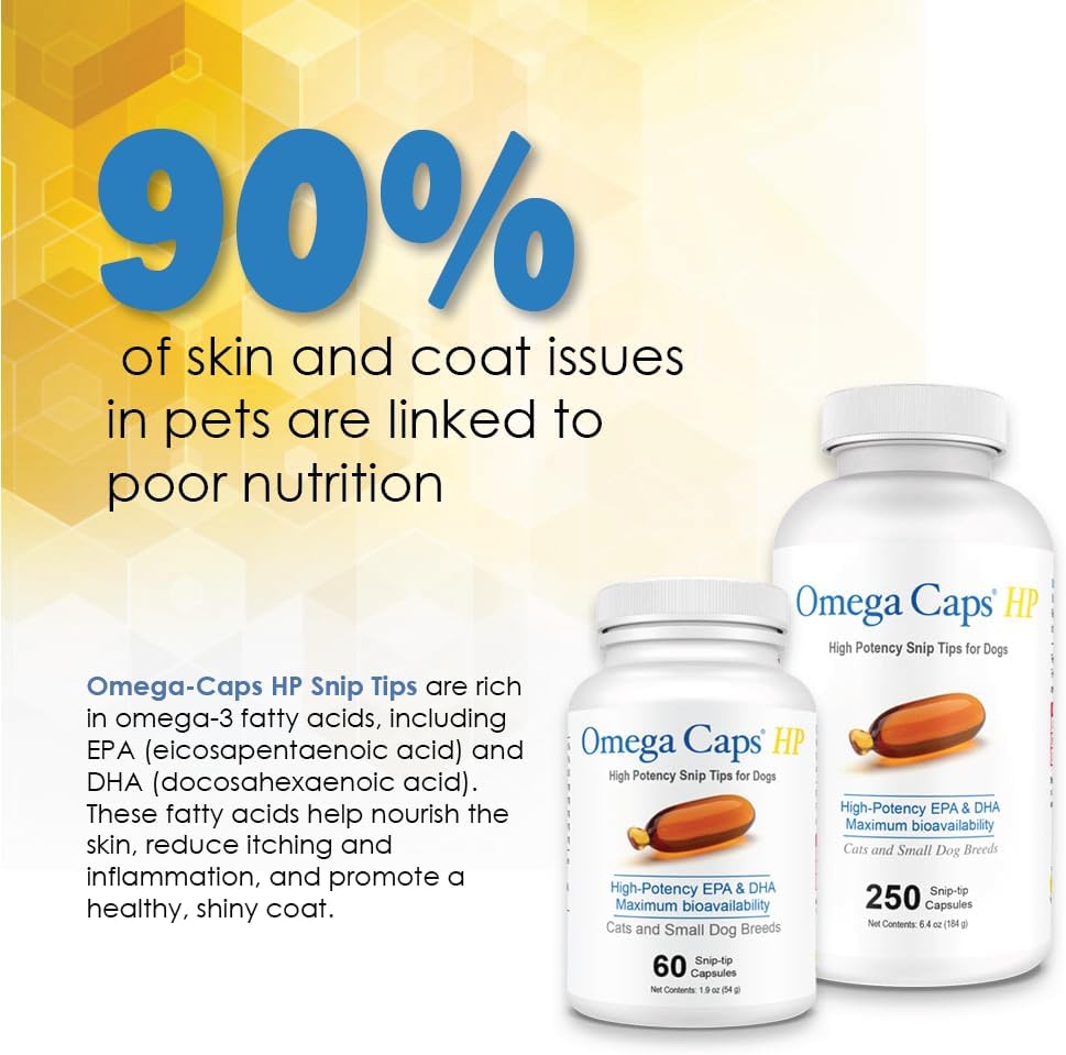 Omega Caps HP Snip Tips for Medium and Large Dogs High Potency EPA and DHA Maximum Bioavailability Fish Oil Supplement Vet Formulated Made in USA Skin Coat Joint and Heart Health 60 Capsules