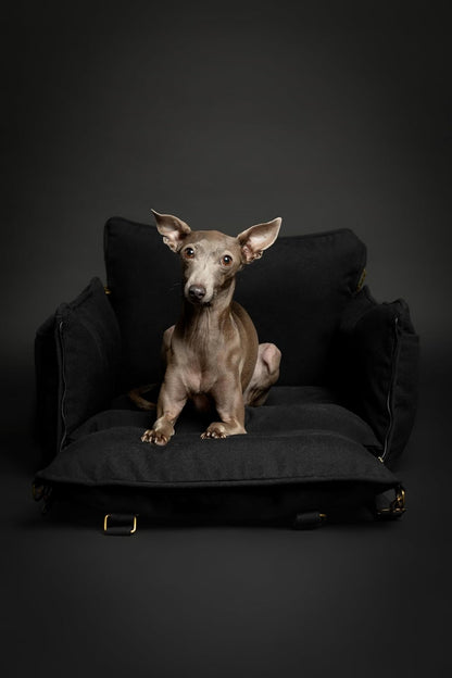 Noah & Paw Dog Car Seat Carrier, Small Dog Car Seat for Small Medium Pets with Harness Clip, 4X Safety Feature, Booster Travel Bed, Waterproof Washable, Orthopedic Foam Filling, Canvas Collection